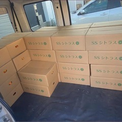 SSシトラス5kgの画像