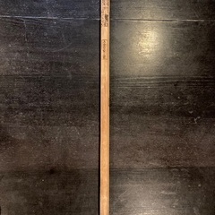 【美品】富士登山/トレーニングの画像