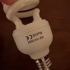 撮影用ライト電球の画像