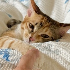 ビジュアル・愛嬌抜群！みんなのプリンセス！