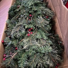 クリスマスツリーの画像