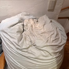 Yogibo max
の画像