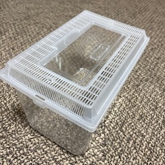 昆虫や鳥などケースの画像