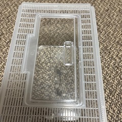 昆虫や鳥などケースの画像