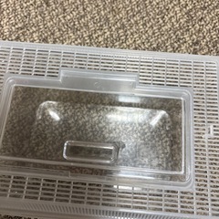 昆虫や鳥などケースの画像