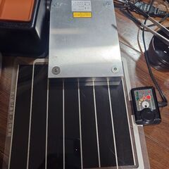 ヒョウモントカゲモドキ 飼育セット♪の画像