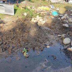 庭の土1,000円以上あげるのでもらってくれませんか？の画像