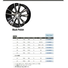 トレジャー ワンクリフクライムルイスの画像