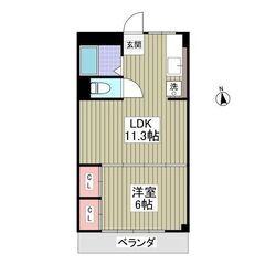 EO🎄Xmas🎅🏡🐾 中型犬まで飼育可の明るいお部屋 🛁🚿 バス...