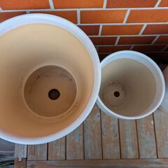 【取引中】植木鉢白(大ｘ2、中ｘ2）の画像