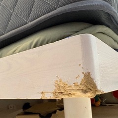 シングルベッド12月20日までの画像