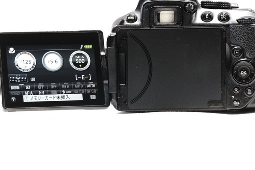 Nikon D5300✨Wi-Fi搭載✨スマホ転送✨スポーツ観戦