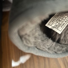 UGG ムートンブーツの画像