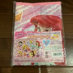 新品　お弁当セットとレジャーシートの画像