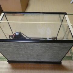 五月人形　【兜曳（京童作）】　の画像