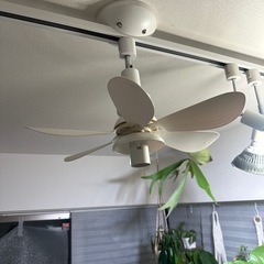 電球付き　ファンの画像
