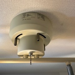 木製　ライトの画像