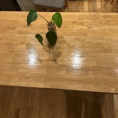 ⭐️大きいダイニングテーブル⭐️180cm
の画像