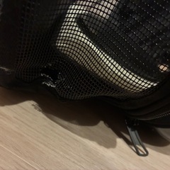 うさぎ　飼育セットの画像