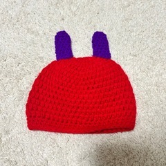 ⭐美品⭐ はらぺこあおむし ニューボーンフォト 新生児 乳児 コスプレ ベビー 月齢フォトの画像