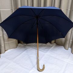 雨傘 長傘 青色の画像