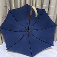 雨傘 長傘 青色の画像