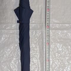 雨傘 長傘 青色の画像