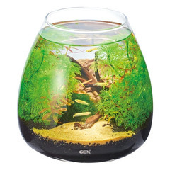 GEX グラスアクア TEAR ティアー N 20cm 3個セットの画像