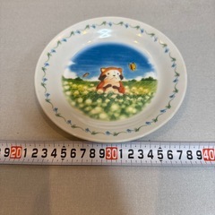あげます！ラスカル　食器　お皿　プレート　非売品　未使用品　種類　枚数　複数ありの画像