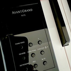 Yamaha AvantGrand N1Xの画像