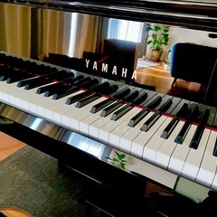 Yamaha AvantGrand N1Xの画像