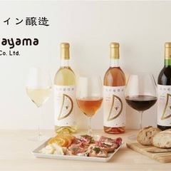 早い者勝ち　白ワイン2本まとめて の画像