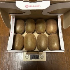 キウイフルーツ　16玉　大玉　2.8kgの画像