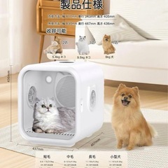 Totoro ball ドライルームの画像