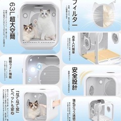 Totoro ball ドライルームの画像