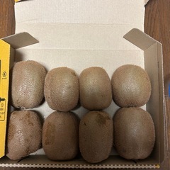 キウイフルーツ　16玉　大玉　2.8kgの画像