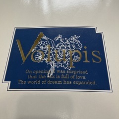 新品未使用品 高級布団 Volupis Scitulus 肌布団の画像