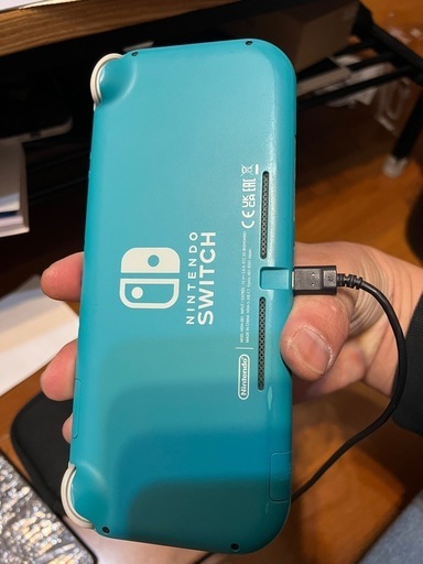 Nintendo Switchライト