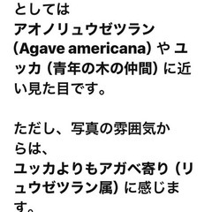 植物庭用の画像