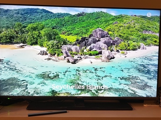 取引中　ハイセンス　50インチ　50型　2019年 液晶テレビ　50A6800