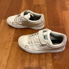 PUMA キッズ　21センチの画像