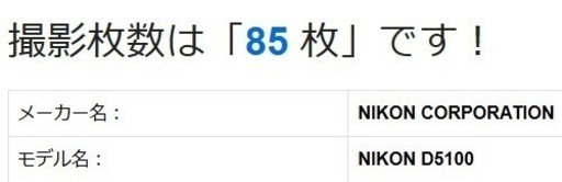ショット数85回 Nikon D5100 スマホ転送 新品級バリアングル