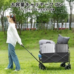 キャリーワゴン　大容量の画像