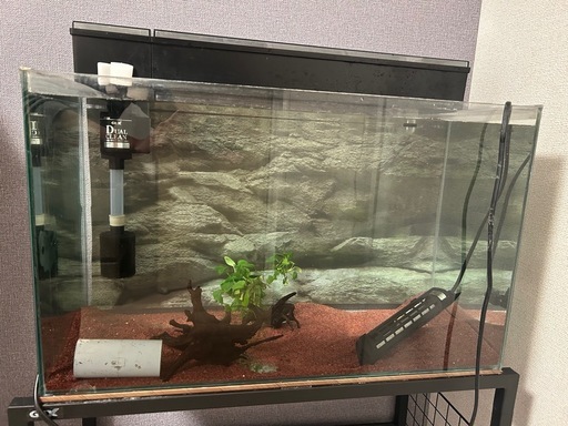60センチ水槽＋テトラ外部フィルター