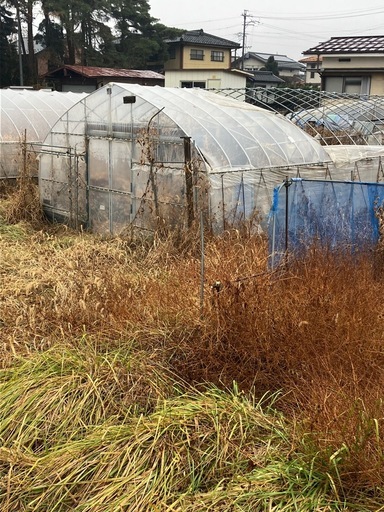 ビニールハウスの骨組み
