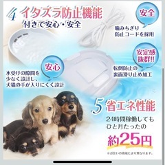 ペット　水飲み器　給水器の画像