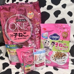 子猫用ご飯とキャットハウスの画像