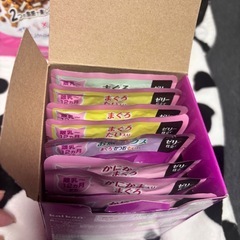 子猫用ご飯とキャットハウスの画像