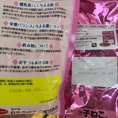 子猫用ご飯とキャットハウスの画像