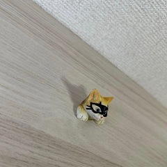 今年いっぱいまで あげます 猫置物の画像